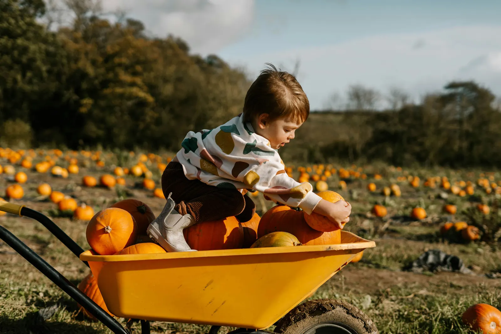 Fall Outings Near Conroe and Willis: Farms, Festivals, and Planning