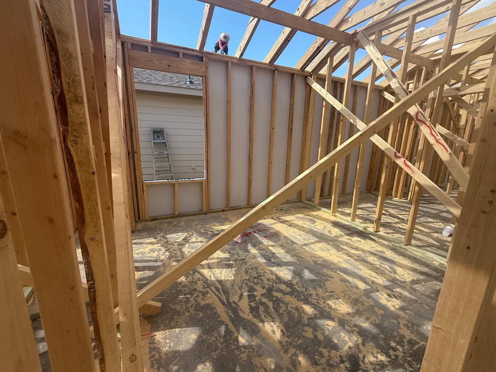 11670 Ruffian Drive, a new home by Alta Homes