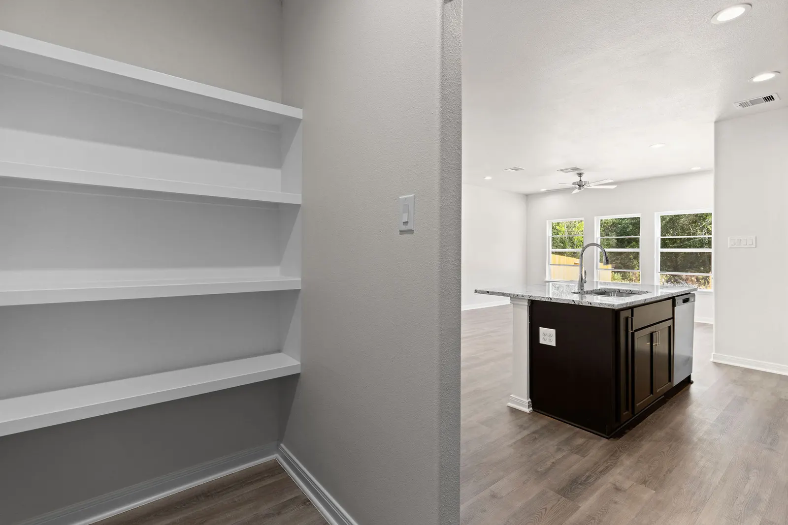 Pantry shelving beside the kitchen
